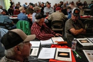 Read more about the article ’They’re betting our herd’: Texas ranchers question USDA as screwworm returns
