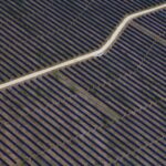 Read more about the article US judge scraps Trump policy restricting wind, solar tax breaks