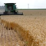 Read more about the article Rising fuel prices hit US farms as Iran war drags on