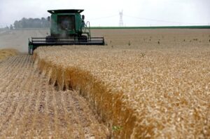 Read more about the article Rising fuel prices hit US farms as Iran war drags on