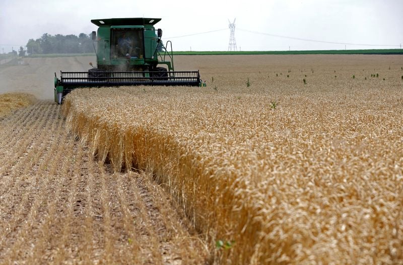 You are currently viewing Rising fuel prices hit US farms as Iran war drags on