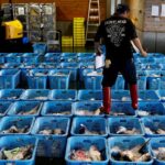 Read more about the article Japan May wholesale prices rise 6.3 pct yr/yr