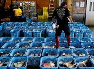 Read more about the article Japan May wholesale prices rise 6.3 pct yr/yr