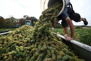 Read more about the article French wine exporters say Trump’s latest tariff threat is bad news