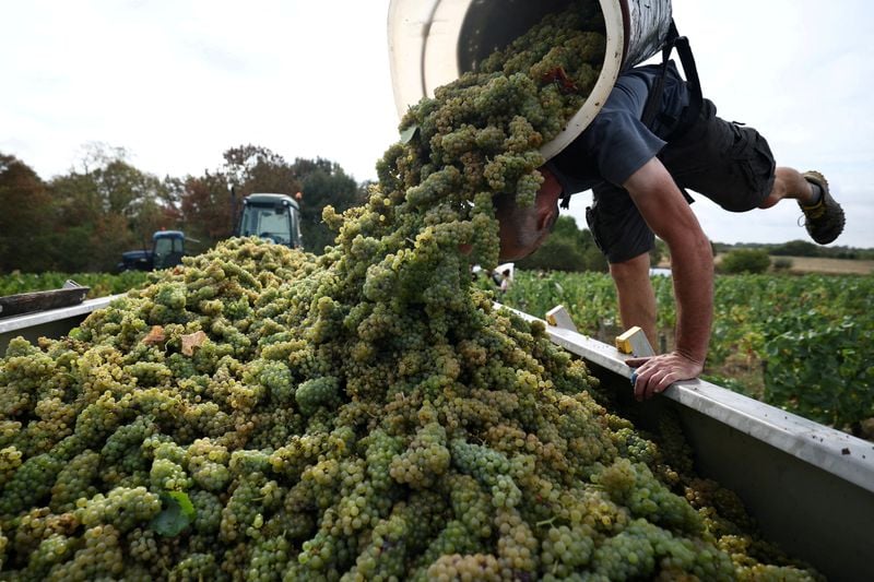 You are currently viewing French wine exporters say Trump’s latest tariff threat is bad news