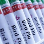 Read more about the article Australia confirms first case of H5 bird flu