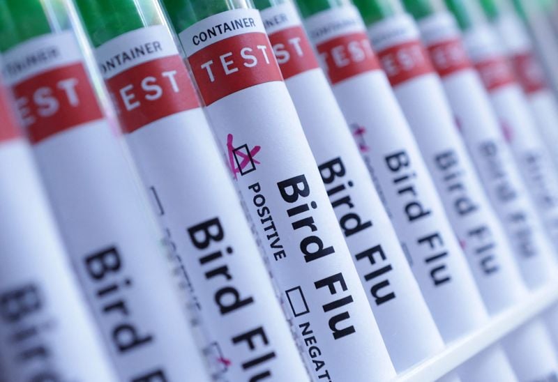 You are currently viewing Australia confirms first case of H5 bird flu