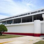 Read more about the article US, Mexico inaugurate sterile fly plant in Chiapas in cross-border screwworm fight