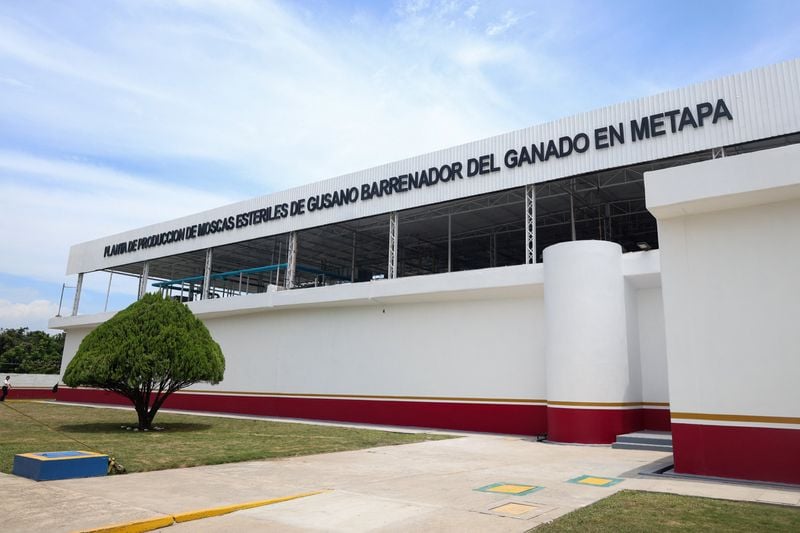 You are currently viewing US, Mexico inaugurate sterile fly plant in Chiapas in cross-border screwworm fight
