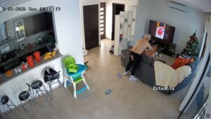 Read more about the article Mexico’s Sheinbaum vows no protection for ex-Pemex chief after wife posts alleged abuse video