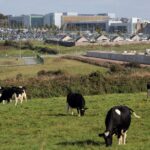 Read more about the article Irish Central Bank Cuts Growth Forecast as Volatility Roils Eurozone