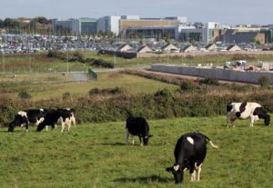 Read more about the article Irish Central Bank Cuts Growth Forecast as Volatility Roils Eurozone