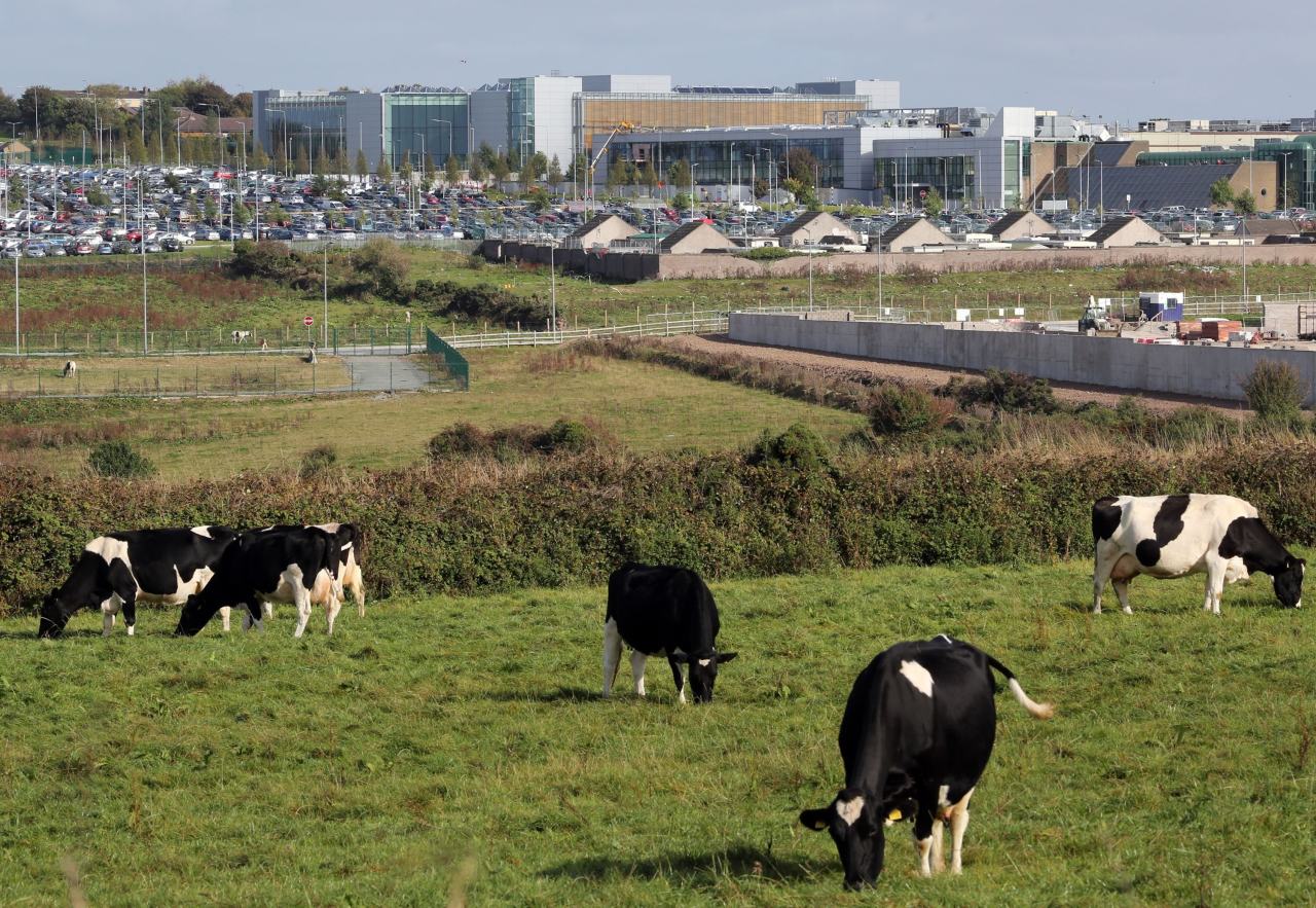 You are currently viewing Irish Central Bank Cuts Growth Forecast as Volatility Roils Eurozone