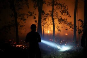 Read more about the article Firefighters battle Fontainebleau forest fire near Paris as two arrested