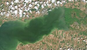 Read more about the article Russia accuses Ukraine of terrorism in Sea of Azov as Kyiv opens new front in war