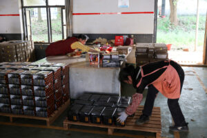Read more about the article China Manufacturing Gauge Shows Slower Growth in Activity