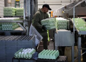 Read more about the article U.S. Producer-Price Index Fell in June