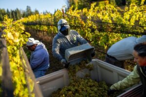 Read more about the article Trump Imposes Additional 50% Tariffs on Certain Canadian Goods